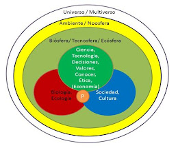 Sustentabilidad Siglo XXI