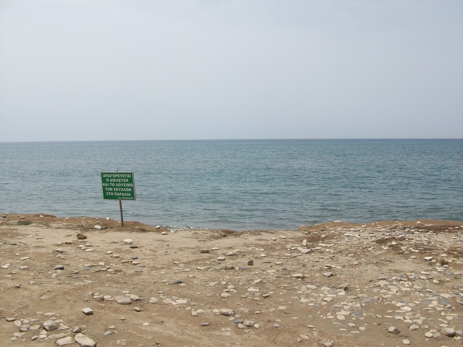 Travel Cyprus With Your Dog Go to the beach... with your dog