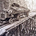 logging road.... in both senses of the word