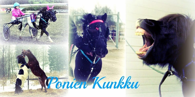 Ponien Kunkku 