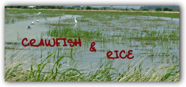 Crawfish & Rice: Mexican 