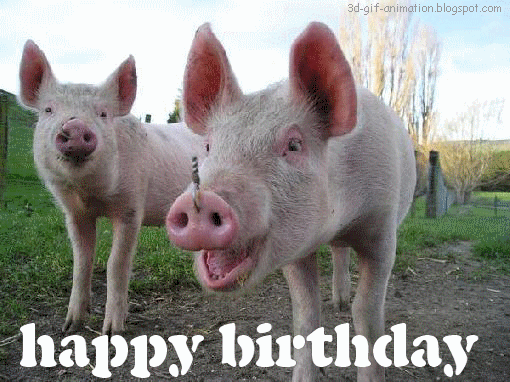 animated free gif: Happy Birthday Pig Greeting eCard funny happy birthday  pig cartoons pigs farm animals humorous cute Animal Pictures Crazy Cats  Funny Dogs porky pig image and porky pig picture gpaphic