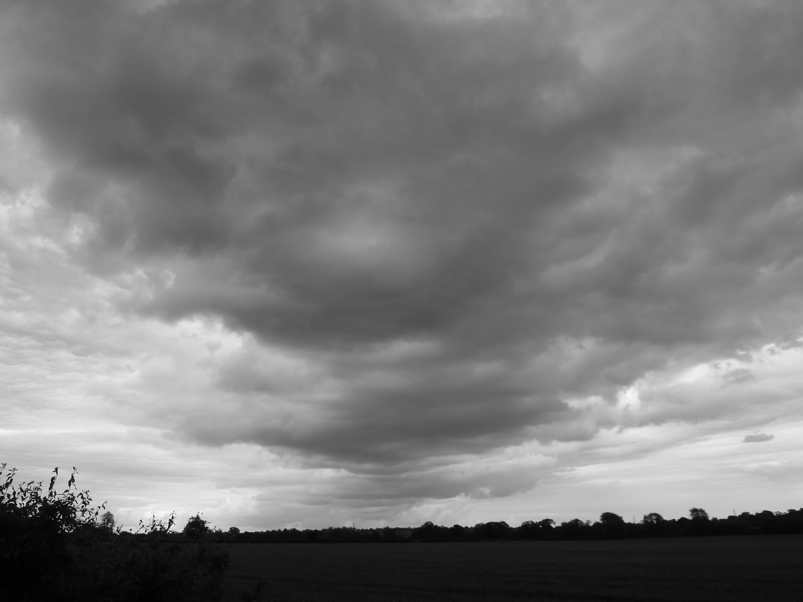 Cloudwiz Cumulus mediocris