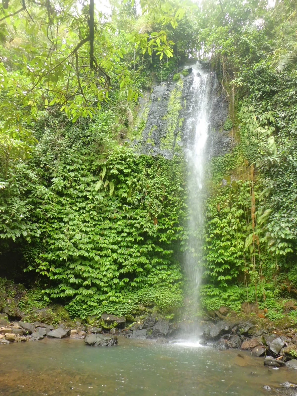 Wayan Suyasa: Air terjun Benben di desa Belimbing
