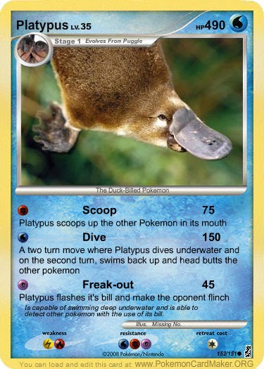 platypus pokemon platypus pokemon