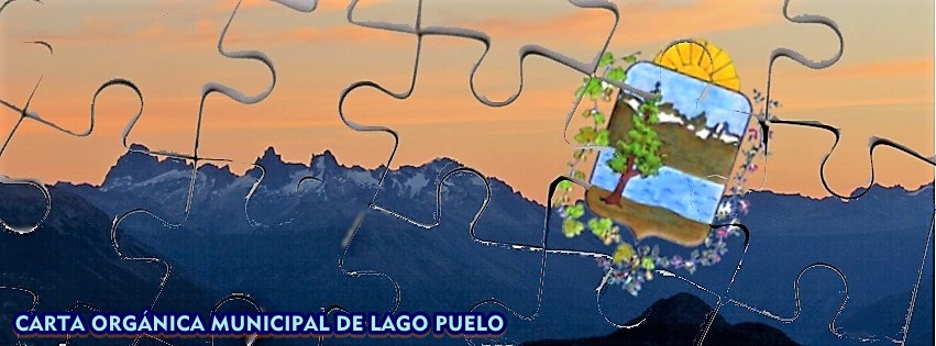 Carta Orgánica Municipal Lago Puelo
