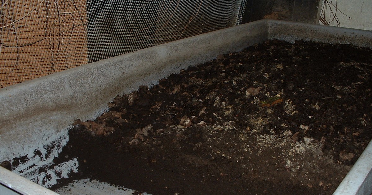 Worm Bin Composting Time to Kick it in the Worm Bin