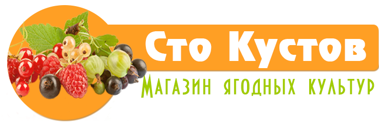 "Сто кустов"