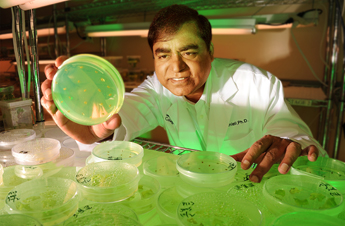 Genetically Engineered Vaccines
