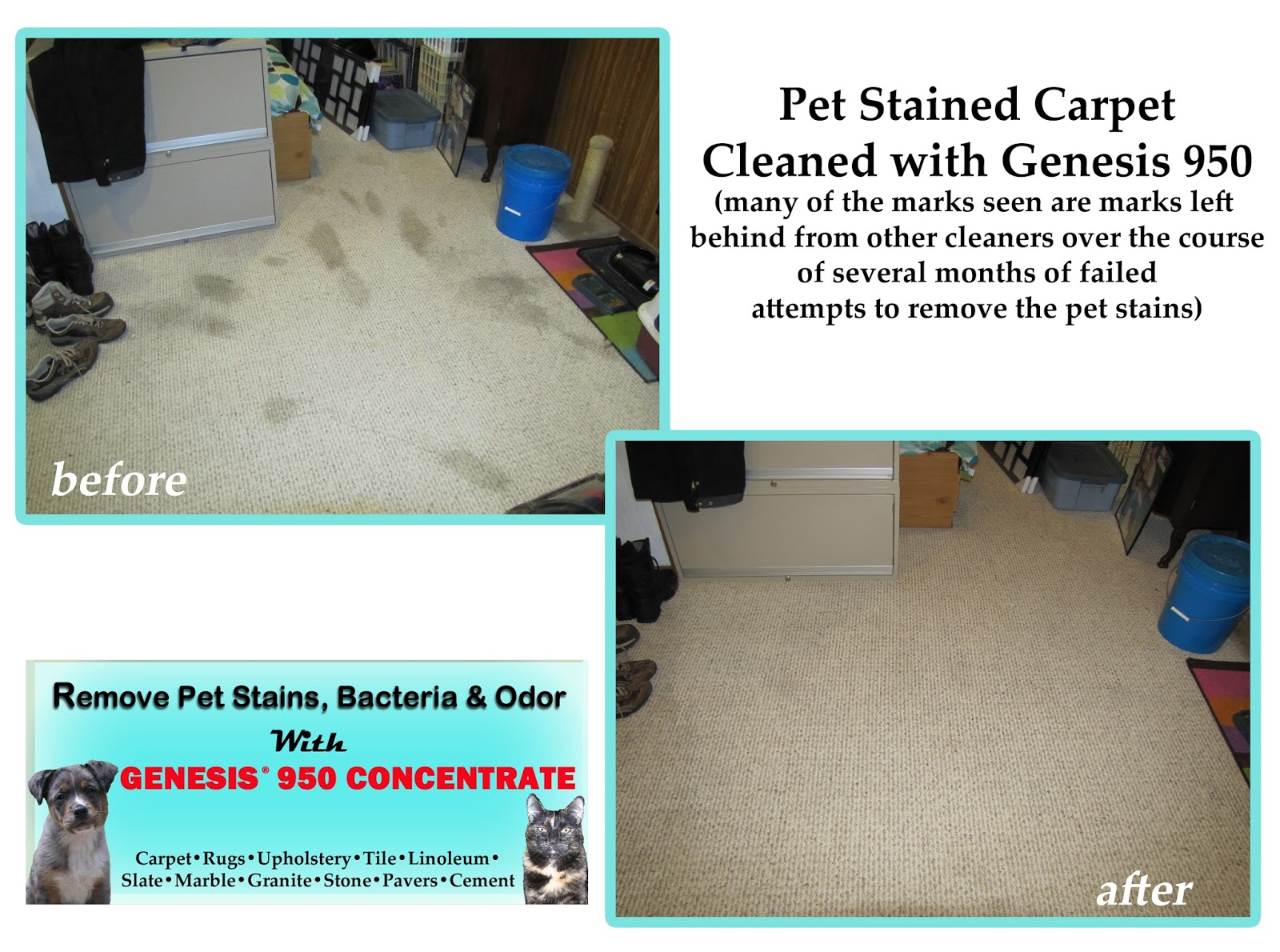 Best Carpet Cleaner And Stain Remover Genesis 950 Before & After Pics