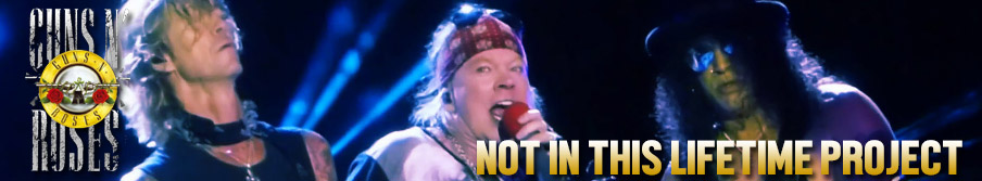 Guns N' Roses | Not In This Lifetime Project