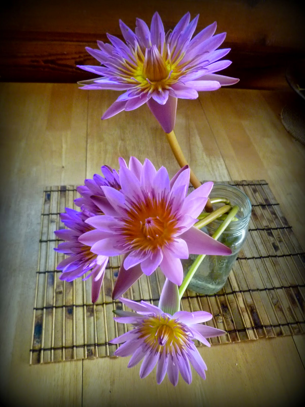 Maui Jungalow The Maui Water Lily Farm