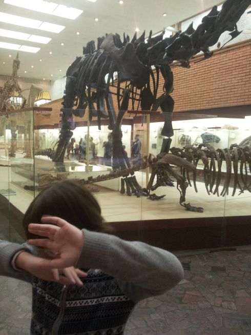 Динозавры в Палеонтологическом музее