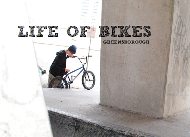 Life Of Bikes