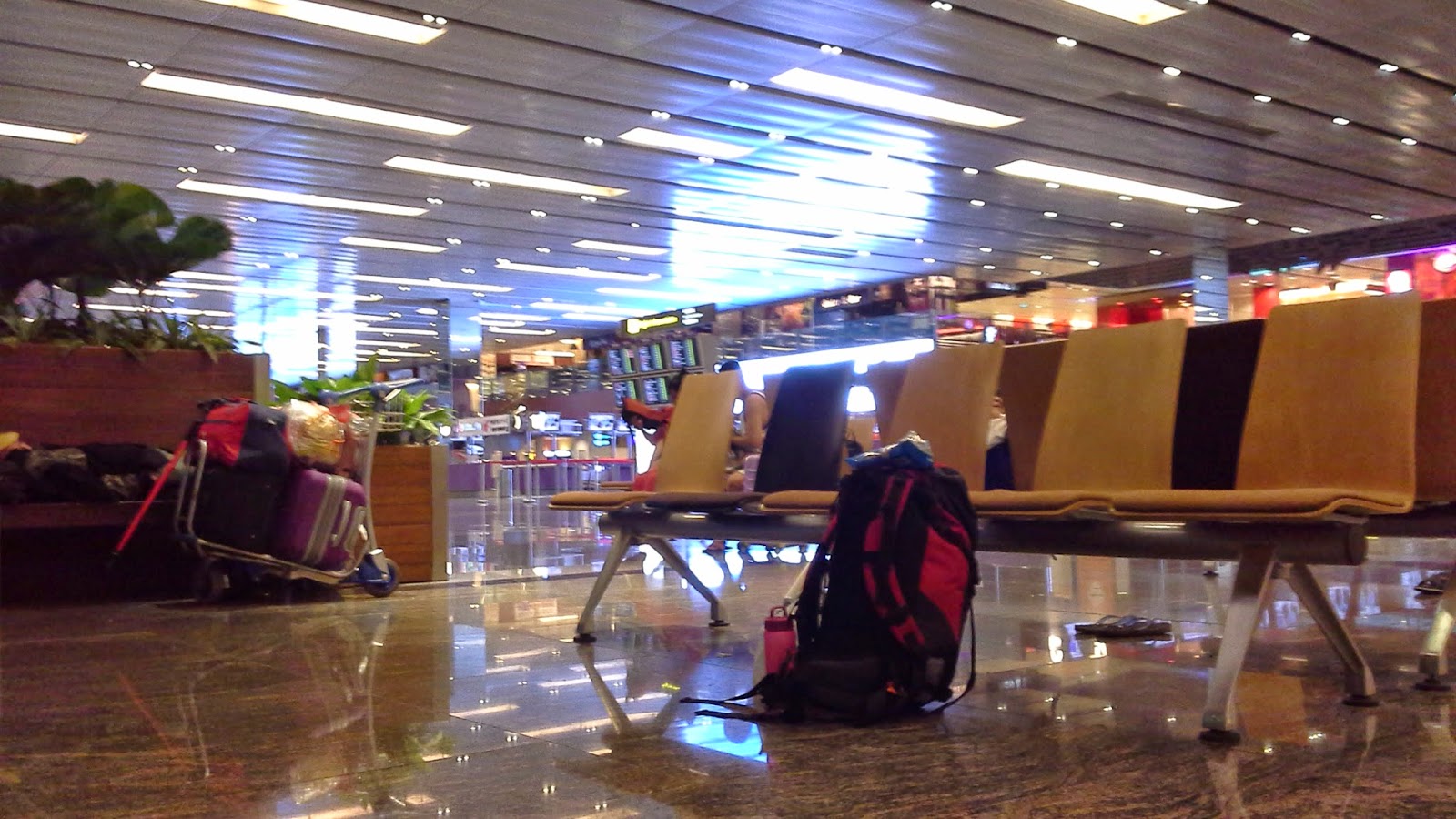 Laporan Selayang Pandang Dari Bandara Changi Singapura