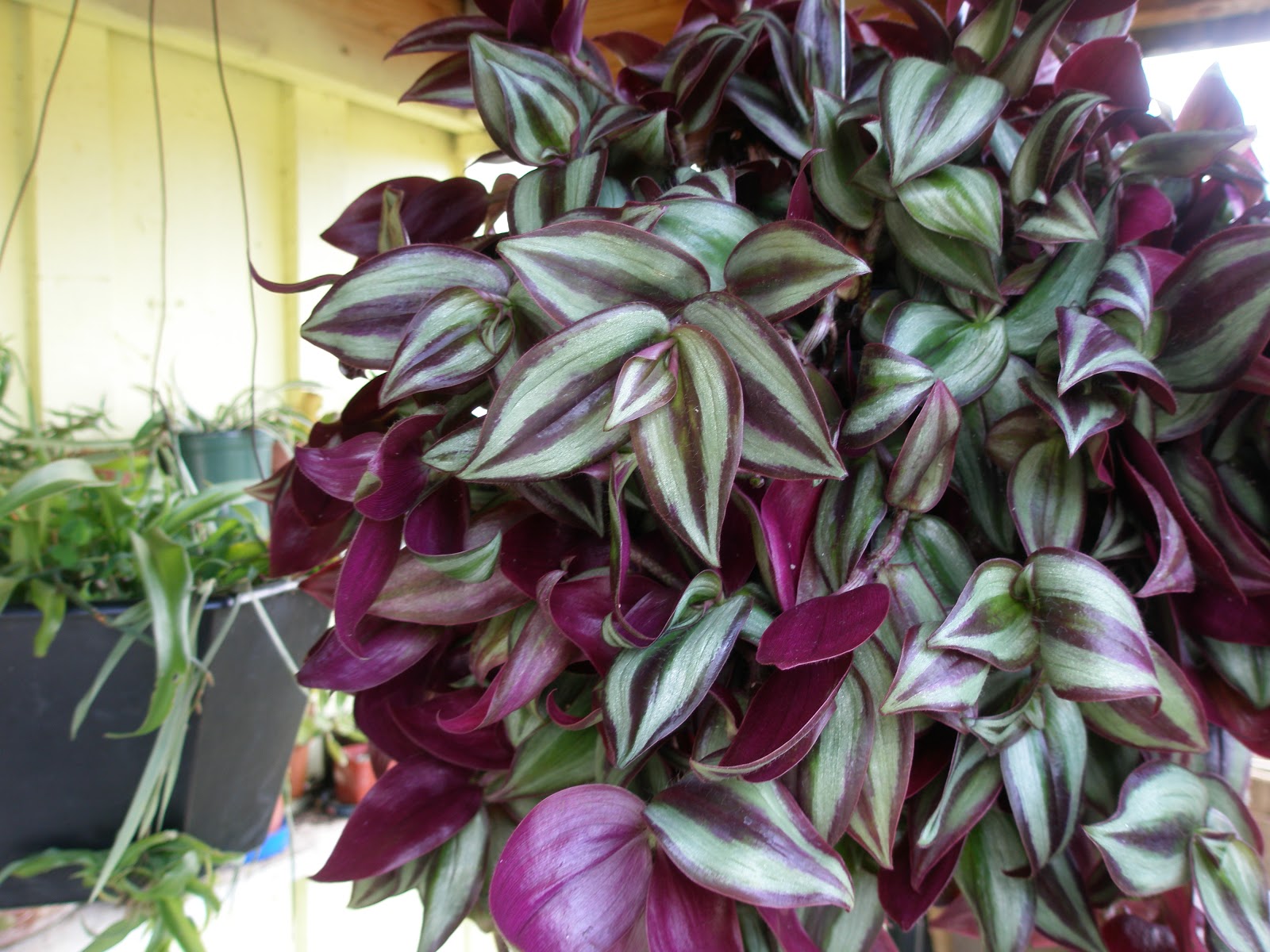 Freckle Face's Blog: May 2012