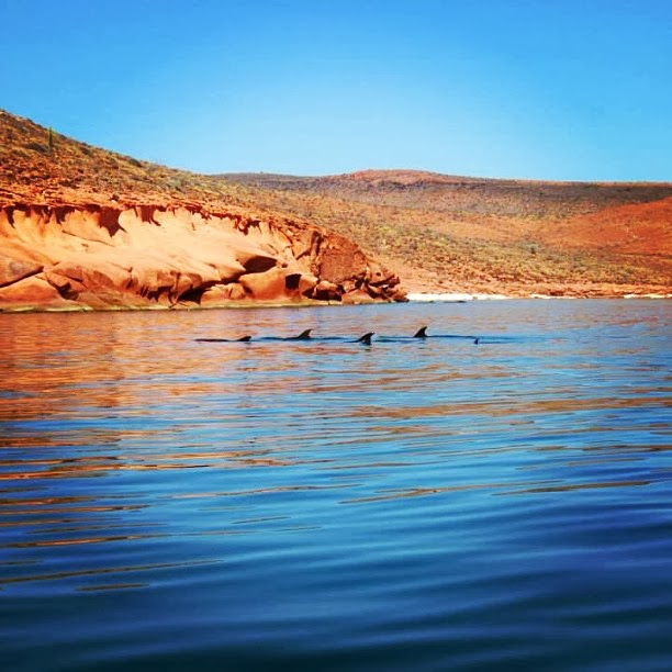 ISLA DEL ESPÍRITU SANTO, LA PAZ.