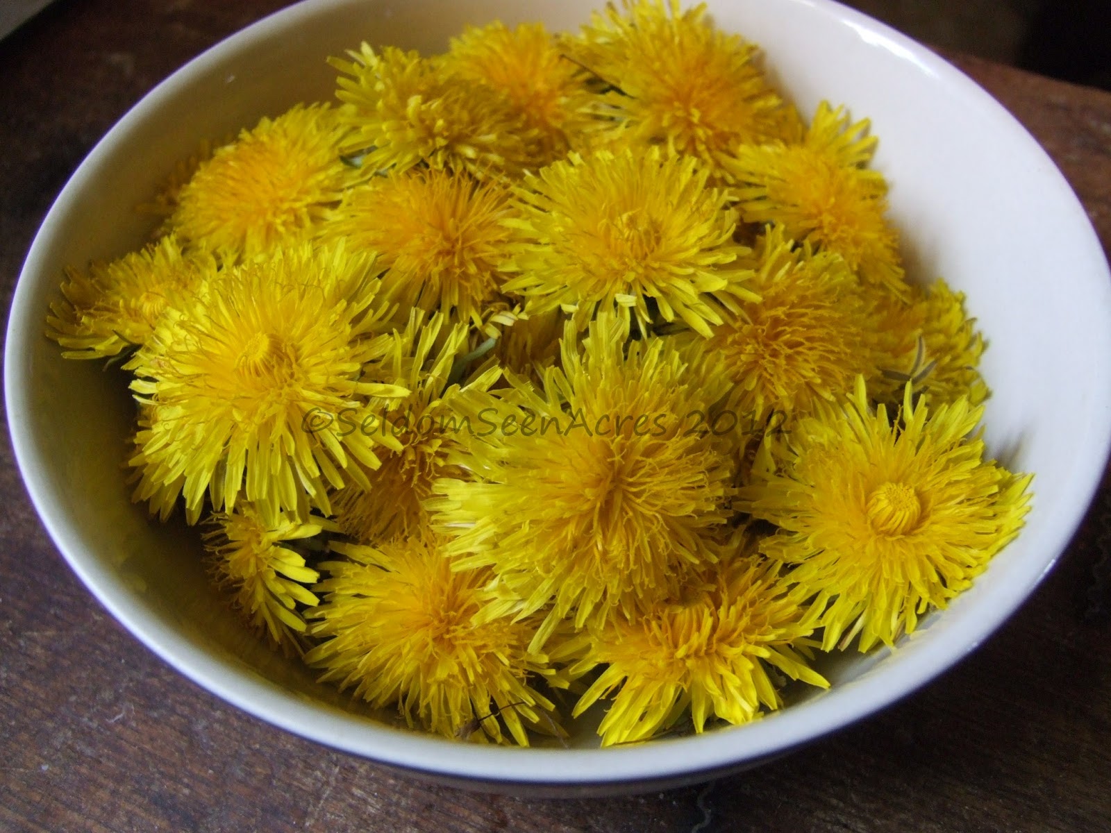 Seldom Seen Acres Fried Dandelion Flowers