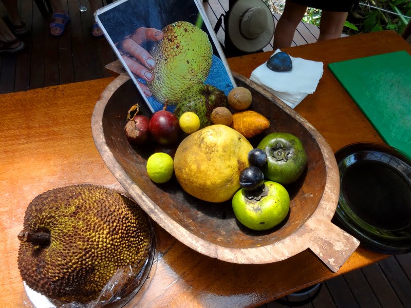 Australia's Exotic Fruit Farm 2 Fruit Tasting