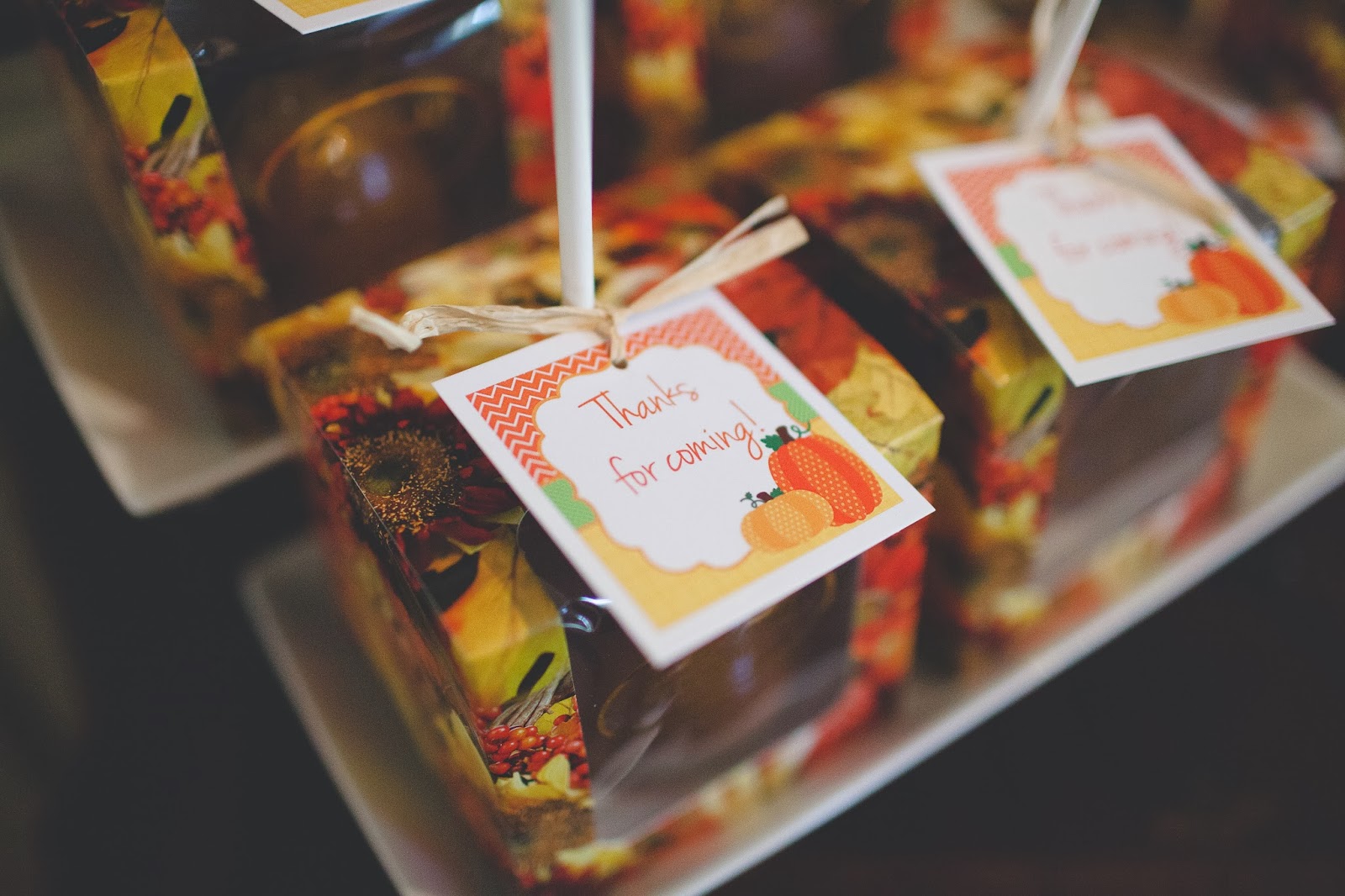 Handbags & Hair Bows Anniston's "Pumpkin Patch" 2nd Birthday Party