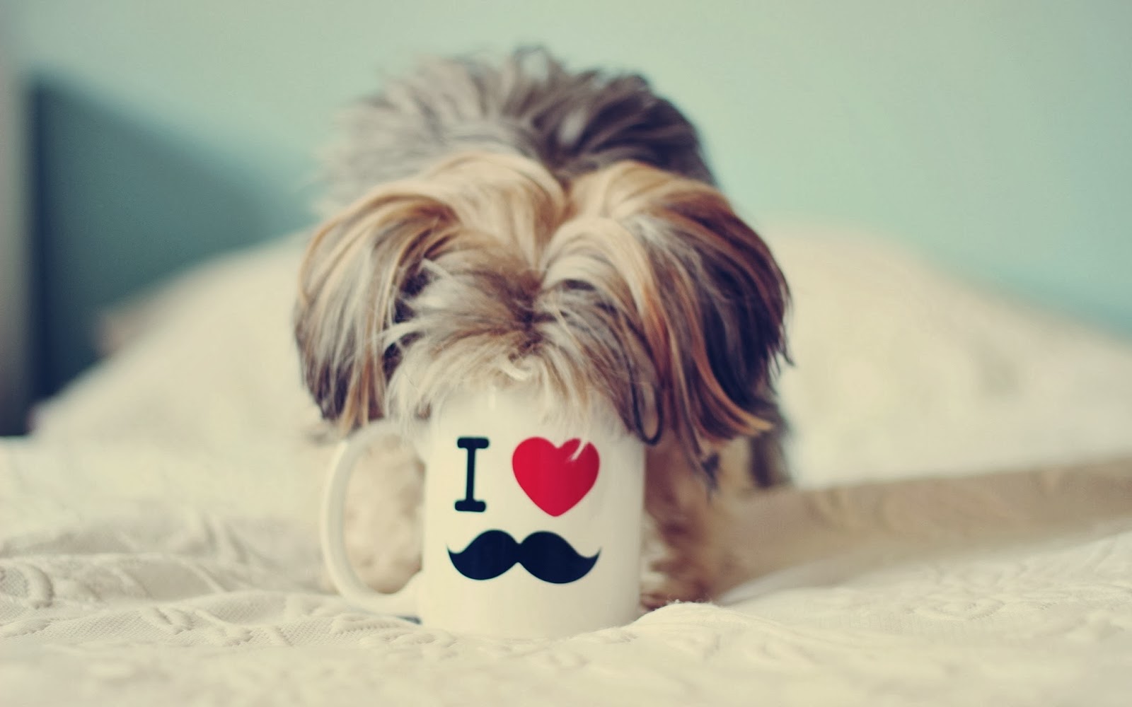 Nice and new Love images ~ Allfreshwallpaper