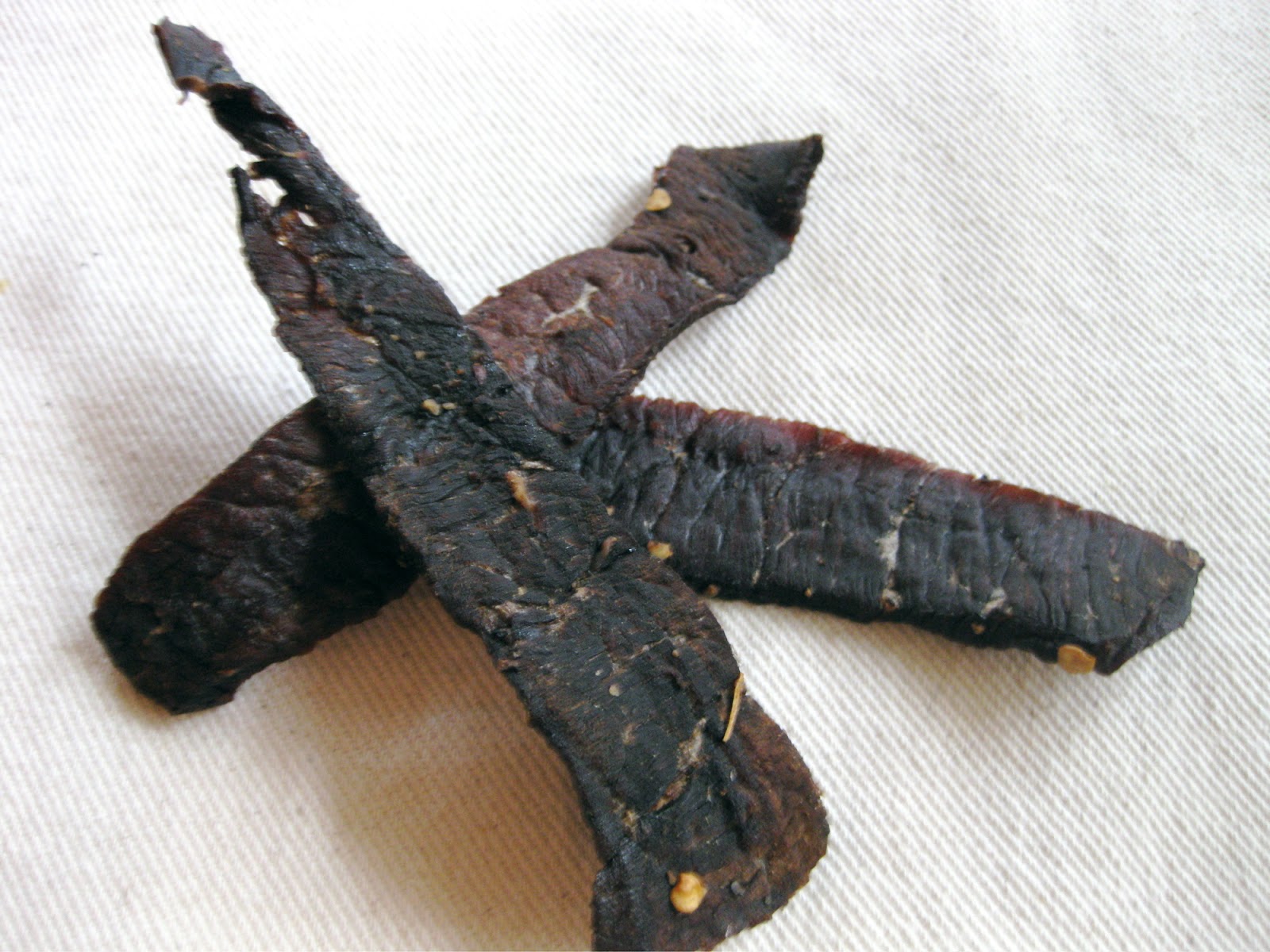 Oishikatta 美味しかった DIY Beef Jerky