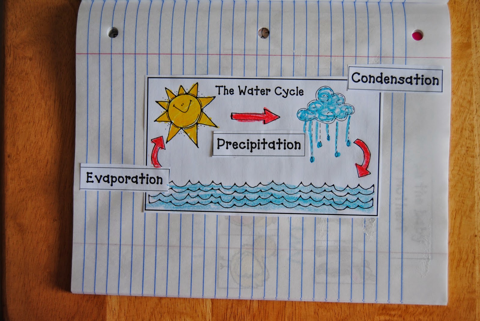 Teaching, Learning, & Loving Interactive Science Journals