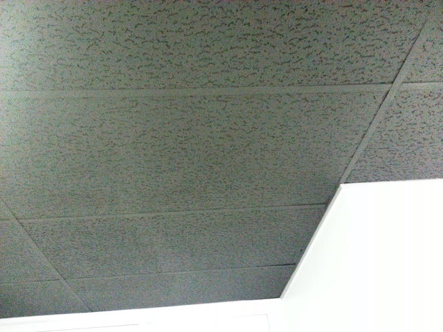 Painted Ceiling Tile & Grid paint ceiling tile grid save