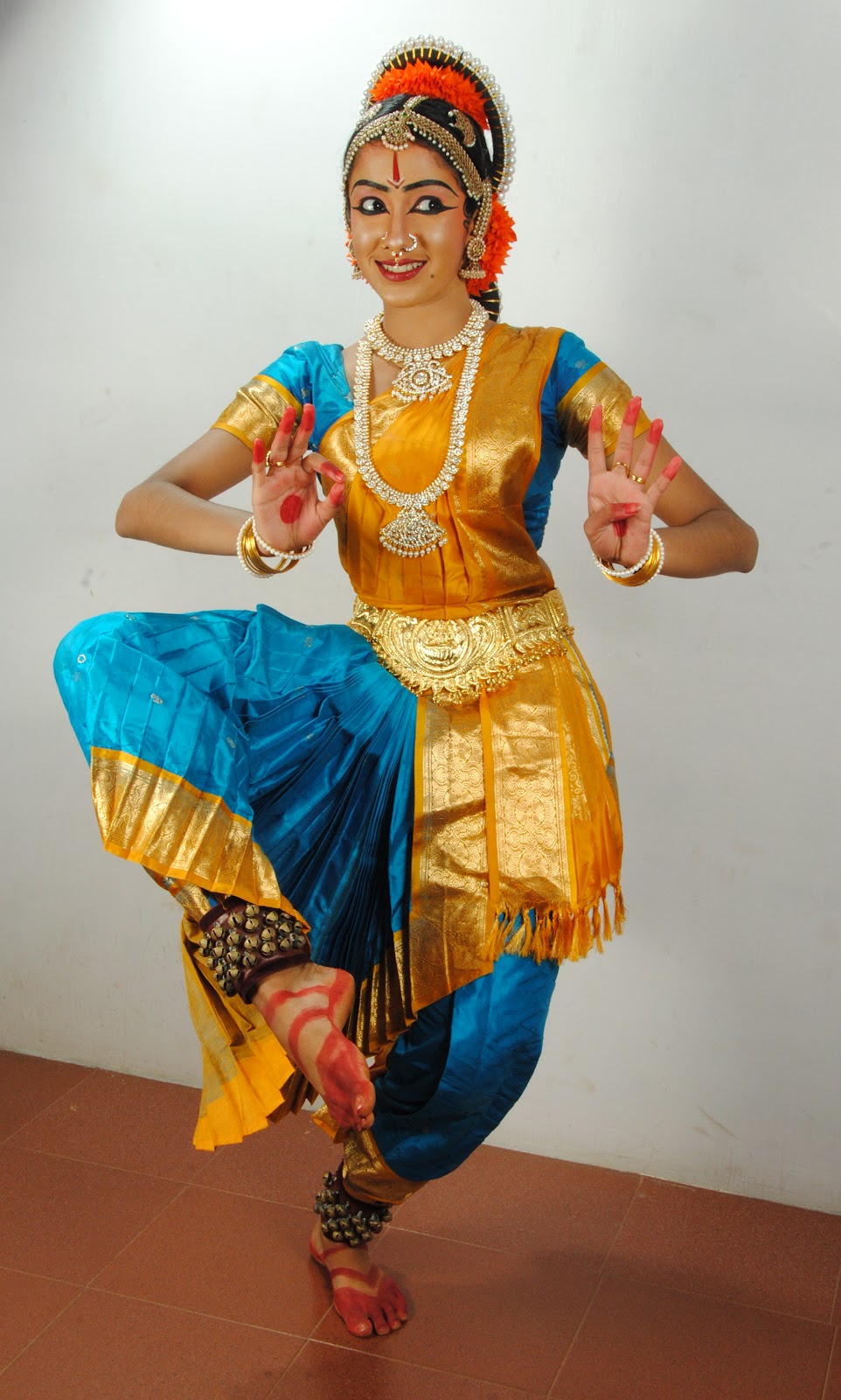 South Indian Dance Costumes