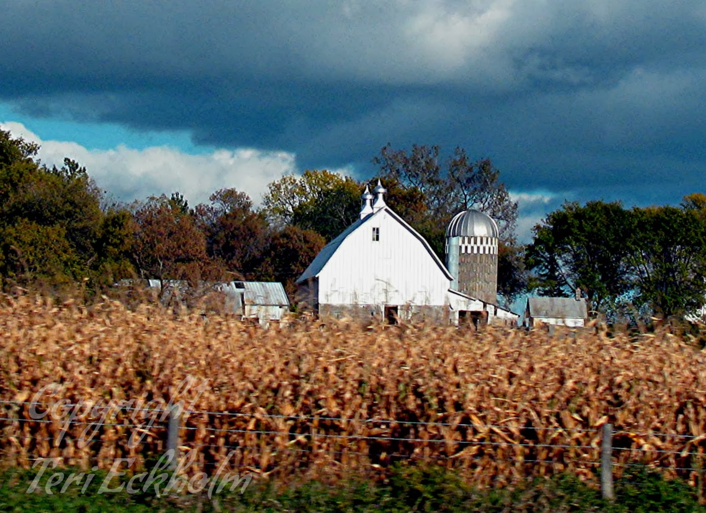 Minnesota Real Estate Update Tips for Buying a Foreclosure on