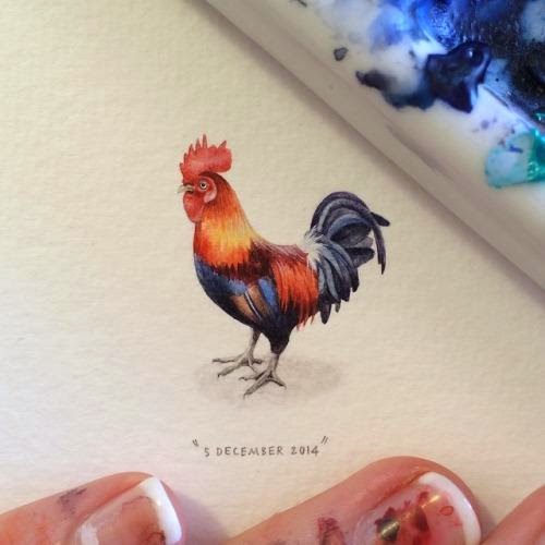 16-Cockerel-Lorraine-Loots-Miniature-Paintings-Commemorating-Special-Occasions-www-designstack-co