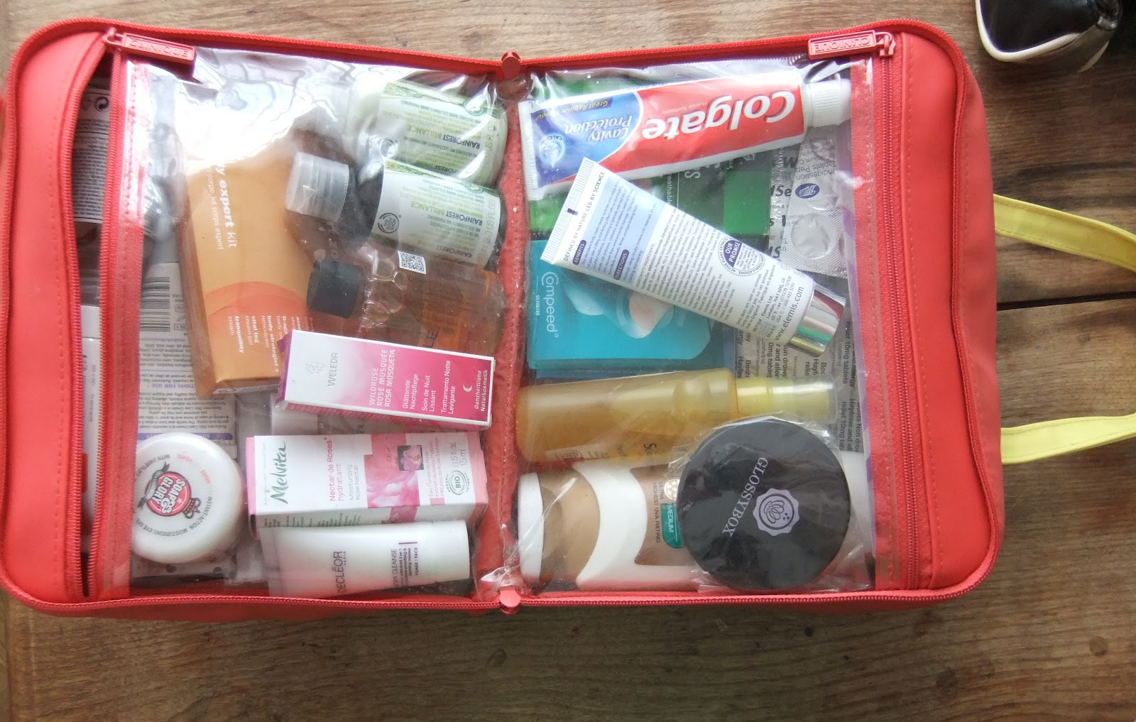 Curiouser and Curiouser My Holiday Wash Bag