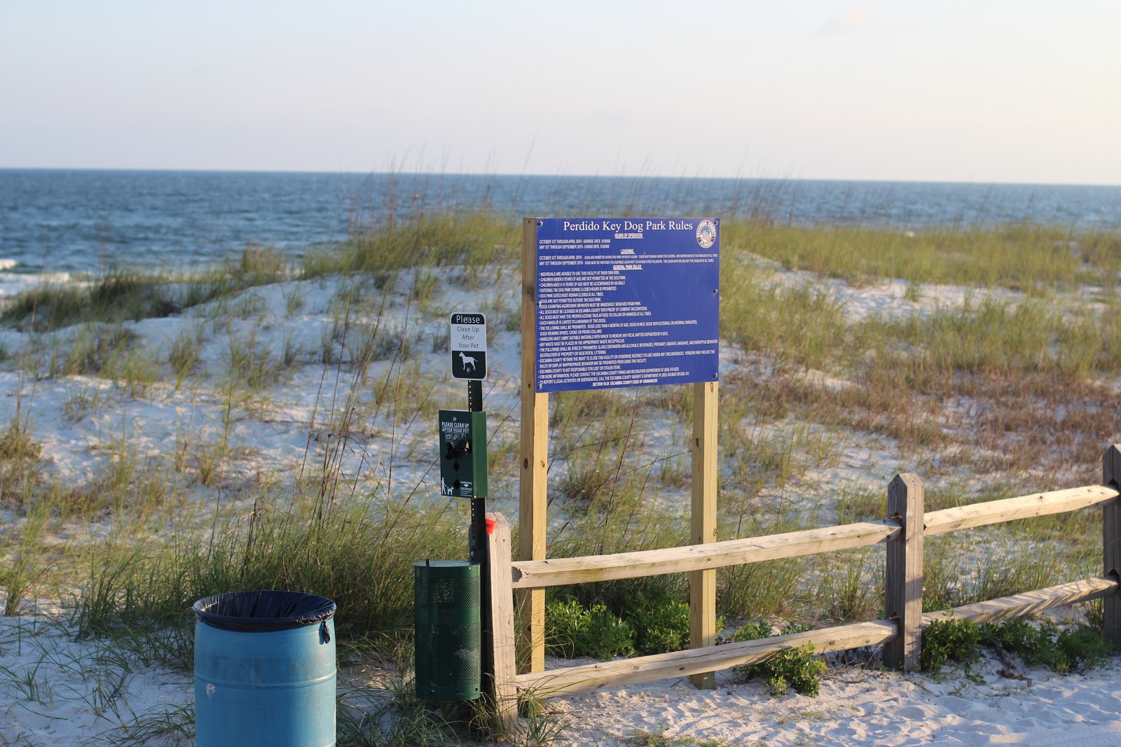 Love to Live in Pensacola, Florida Dog Beaches open on Perdido Key Beach!