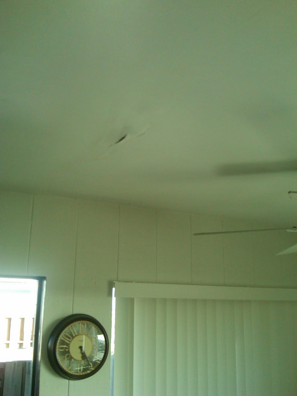 The Creature From Craigslist Fixes Ceiling Leak Fails