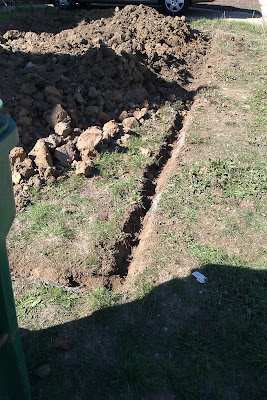 When You Have a Huge Pile of Dirt in Your Yard