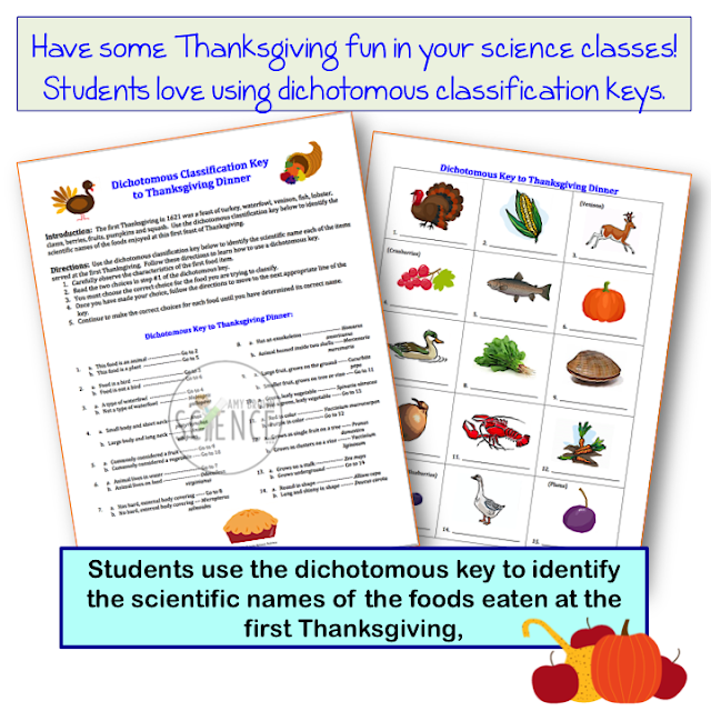 Amy Brown Science: Science Fun this Thanksgiving!