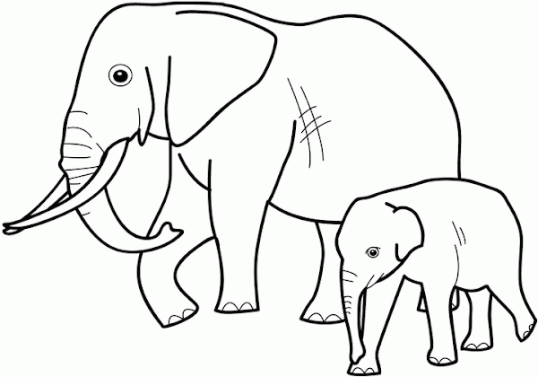 Elephant Animal Coloring Pages