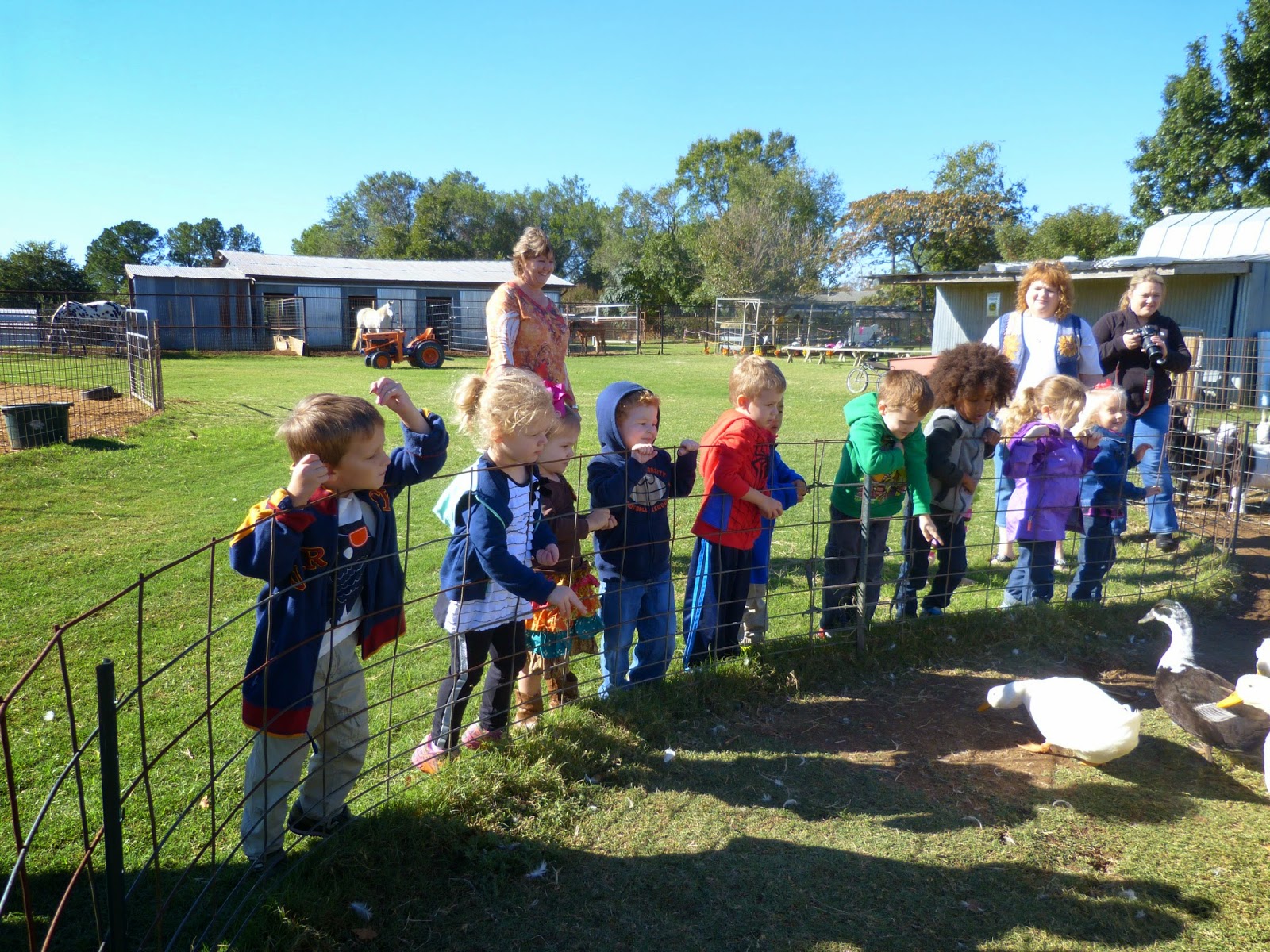 Paula's Primary Classroom Lowes Miniature Farm Field Trip!