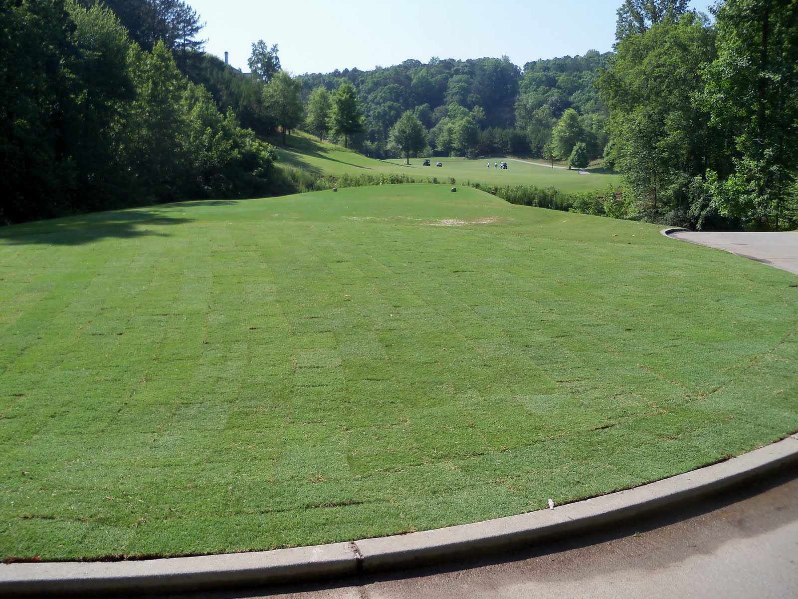Bear's Best Atlanta Golf Course Maintenance Celebration Bermudagrass