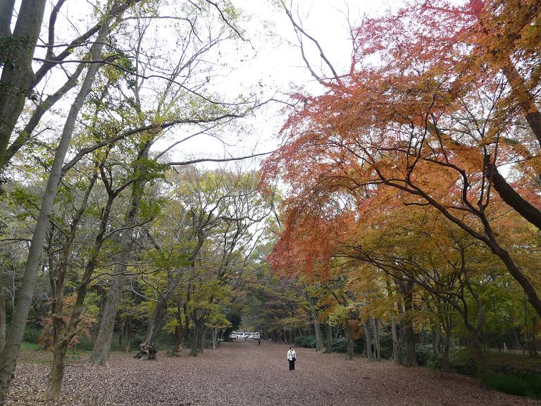 The World Of Largeheadboy 第二回 出町柳 下鴨神社