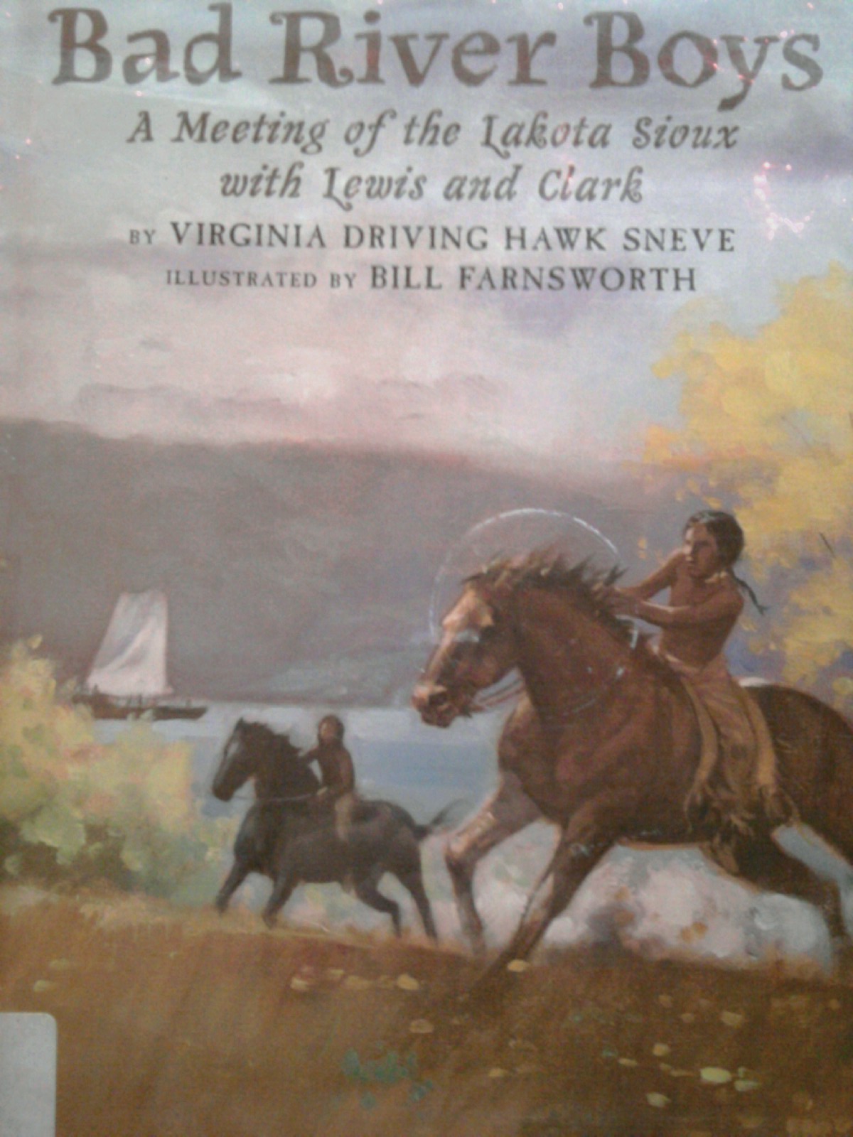 New Books, New Worlds Review Bad River Boys by Virginia Driving Hawk