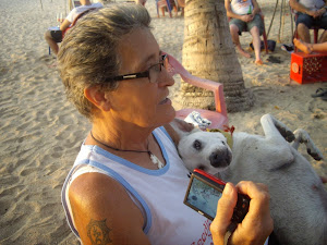 KRIS IS THE MOTHER THERESA OF BALI'S DOGS-