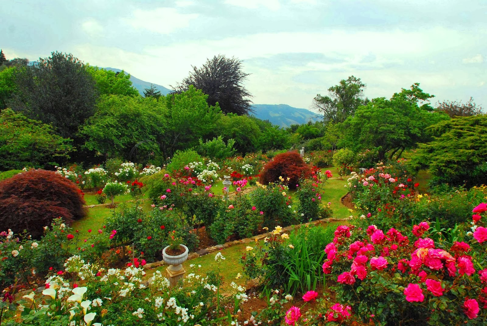 ARTE Y JARDINERÍA : VIDEOS DE BIOLOGIA Y BOTANICA