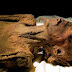 The Screaming Mummy