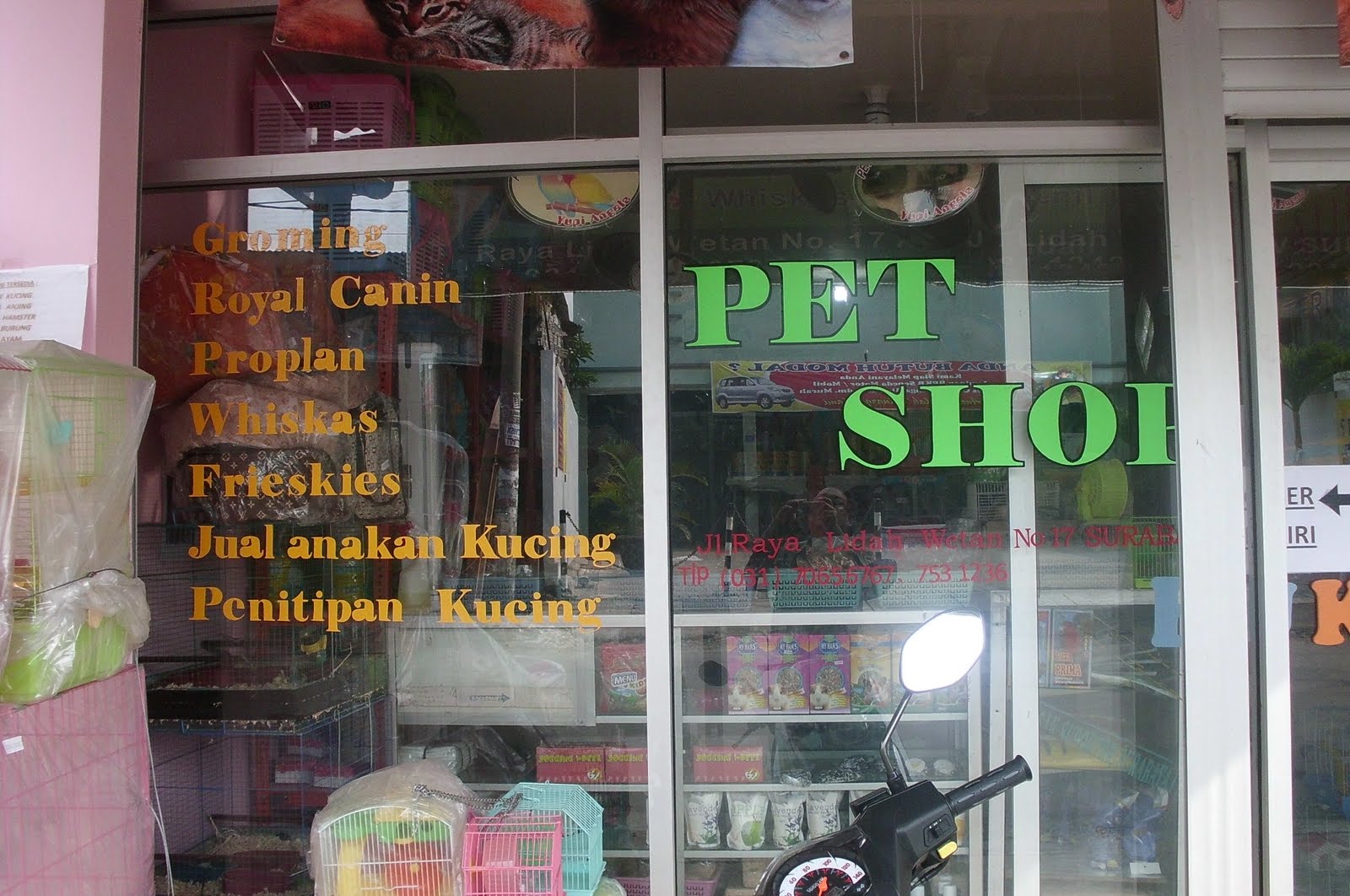 pet shop-surabaya