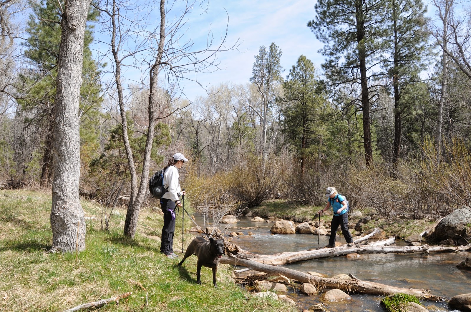 Arizona Hiking Canyon Creek's amazing recovery
