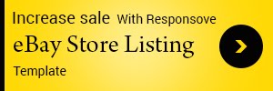 Responsive eBay Store Listing