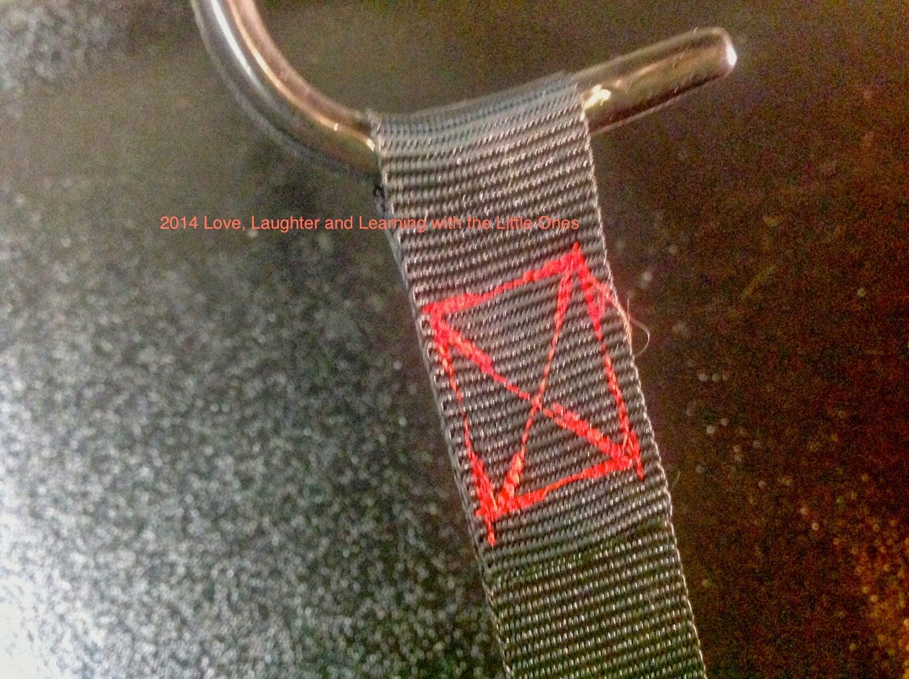 Love, Laughter and Learning with the Little Ones DIY RoofMount Cargo