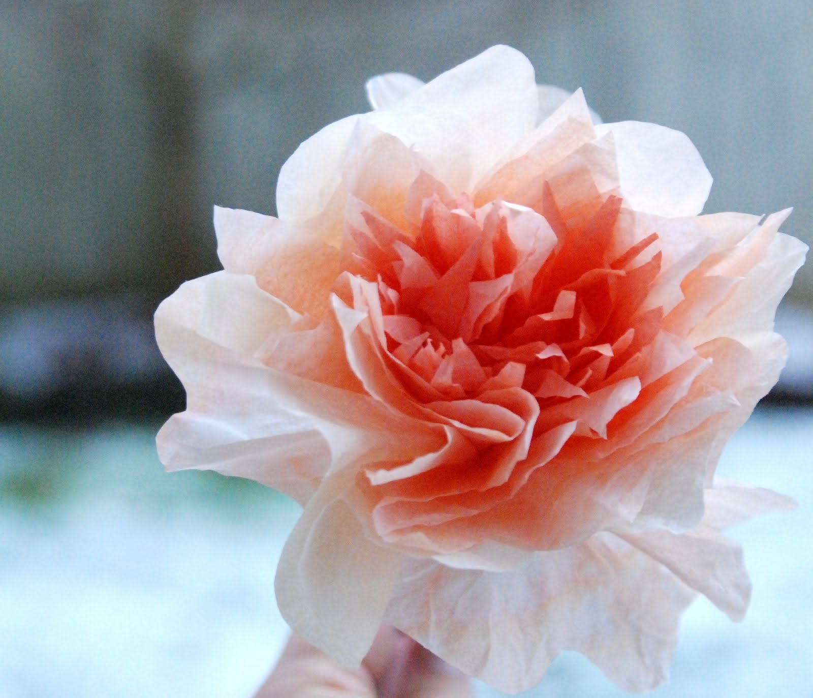 Homemade Serenity Why Don't You Make Coffee Filter Flowers