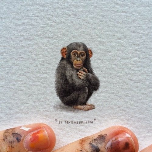 02-Chimpanzee-Lorraine-Loots-Miniature-Paintings-Commemorating-Special-Occasions-www-designstack-co